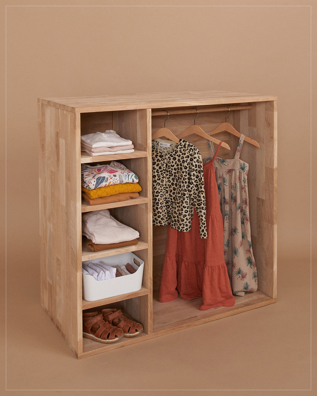 Kleiderschrank/Bücherregal