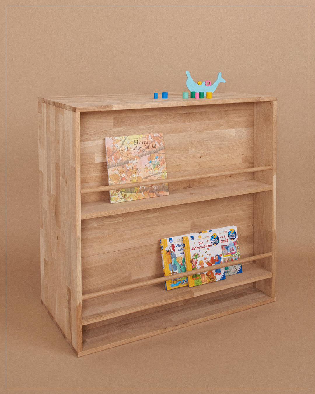 Kleiderschrank/Bücherregal
