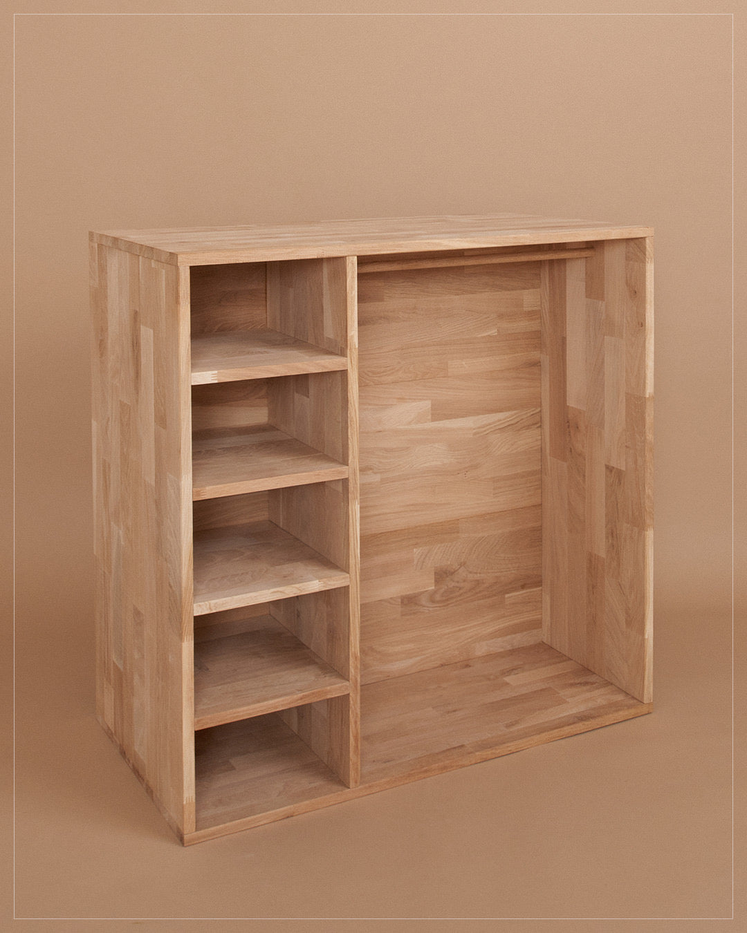 Kleiderschrank/Bücherregal